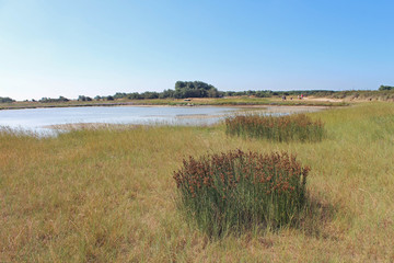 Baie d'Authie, Pas de Calais