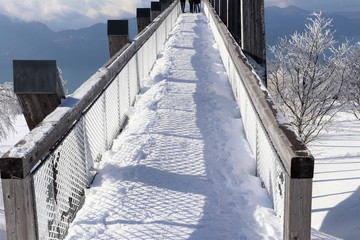 MONTAGNE - LE MONT REVARD SOUS LA NEIGE - MASSIF DES BAUGES - SAVOIE