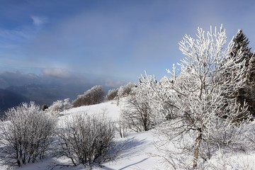 MONTAGNE - LE MONT REVARD SOUS LA NEIGE - MASSIF DES BAUGES - SAVOIE