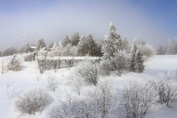 MONTAGNE - LE MONT REVARD SOUS LA NEIGE - MASSIF DES BAUGES - SAVOIE