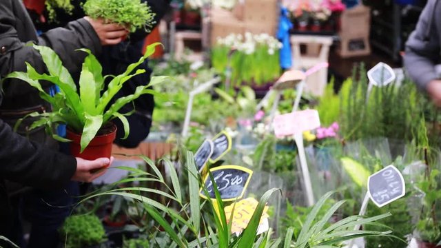 Colombia Road Flower Market. People Buying And Selling Plants At The Famous Market In East London