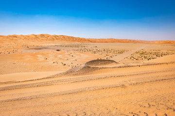 Fototapeta na wymiar Desert landscape in the Middle East.