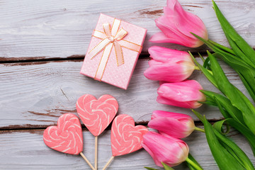 Beautiful tulips on a blue background.