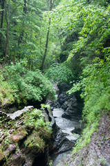 Obraz premium Watkins Glen State Park, NY