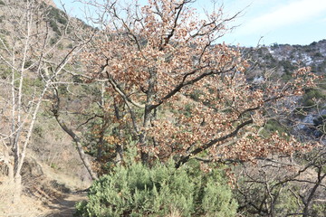 Krimea.Sevastopol.Most of the Sevastopol trail