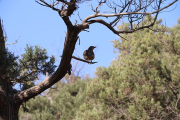 Krimea.Sevastopol.Most of the Sevastopol trail