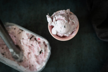 Peppermint Gelato with Chocolate Drizzle