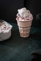 Peppermint Gelato with Chocolate Drizzle