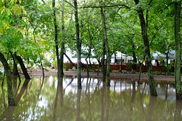 The park after a rain. Huge rain pool.
