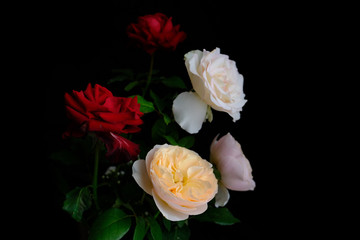 Roses for romantic Valentines Festival