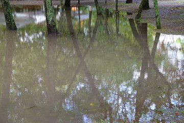 The park after a rain. Huge rain pool.