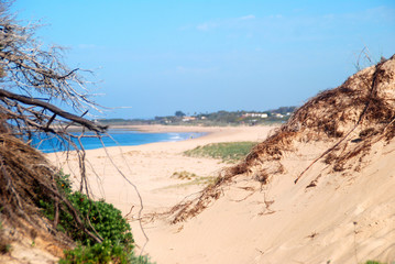 PAISAJE PLAYA DE LOS CAÑOS DE MECA. CÁDIZ