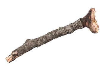 Single dry tree branch, isolated on white background. Stick tree branch from nature for design.