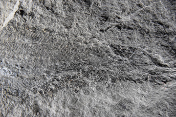 Stein, Granit, Grau, Rau, Sand, Robust, schatten, Textur, Hintergrund, Fisch, versteinert