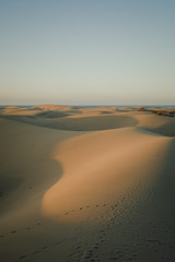 Early morning view in Maspalomas Dunes in Gran Canaria