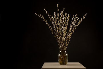 Easter Willow bouquet in vase isolated on black background, copy space