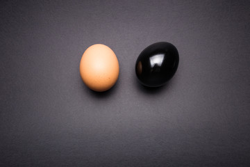 Black and brown egg on a gray background close-up