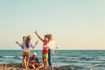 Group of friends on the beach play
