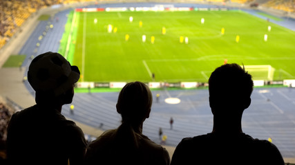 Friends supporting soccer team, watching football match at stadium, sports