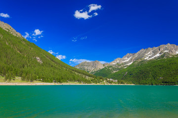 a suggestive green mountain lake along a slope covered with pine trees in the National Park of Great Paradise,in Piedmont,Italy / the green color of the pines on the mountains reflects on the lake