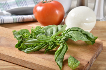 Caprese salad ingredients