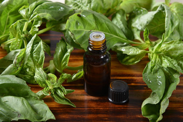 Basil essential oil