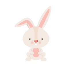 Fototapeta premium cute rabbit isolated icon