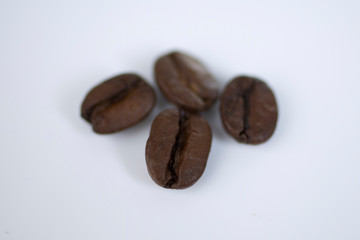 Vier einzelne Kaffeebohnen als Nahaufnahme