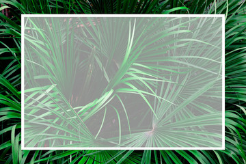 mockup of tropical leaves with paper card