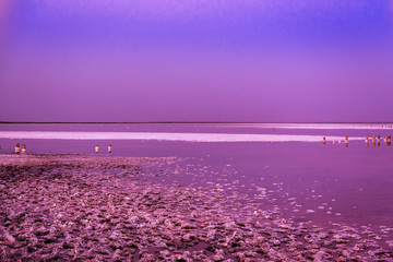 Sasyk salt lake in the moonlight at night