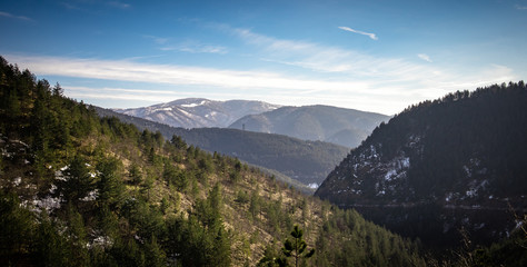 Mountain in winter with a little snow. Tara mountain in Serbia.