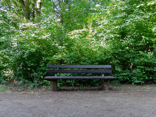 Bench in park