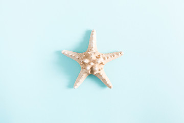 Fototapeta na wymiar Summer minimal composition. Creative layout made of starfish on pastel blue background. Summer creative concept. Flat lay, top view, copy space