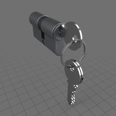 Profile cylinder with keys