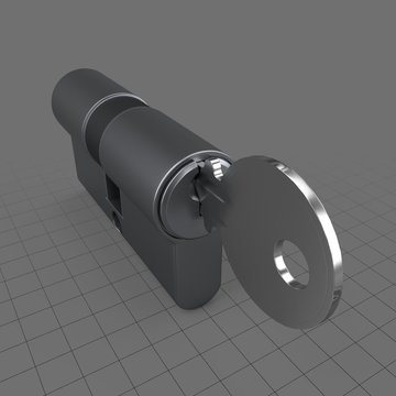 Profile cylinder with key