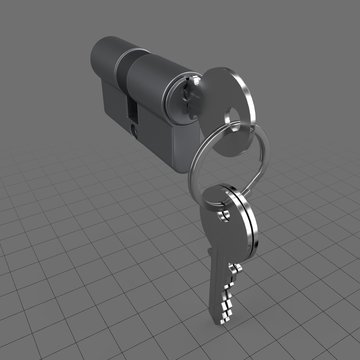 Profile cylinder with keys