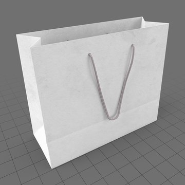 Paper bag 2