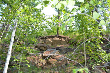 taiga, TRANS-Baikal territory