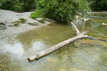 Isar