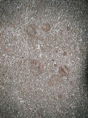 Texture drops and sprays of light brown paint on plaster