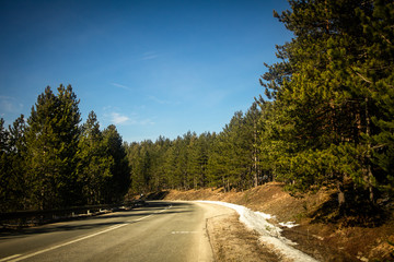 Asphalt mountain road at sunset with beautiful nature, stones and conifers. Mountain Tara in Serbia.