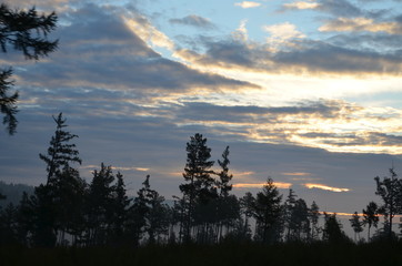 Fototapeta premium transbaikal territory