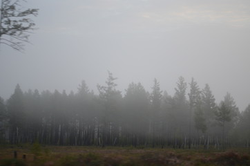 transbaikal territory