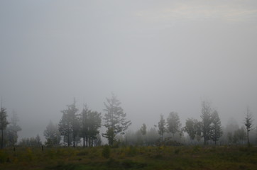 transbaikal territory