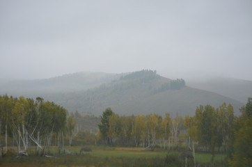 transbaikal territory