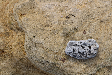 Natural stone with holes, chicken god, dog god, dog's happiness.