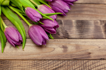 Purple tulips on dark wooden background gift for March 8