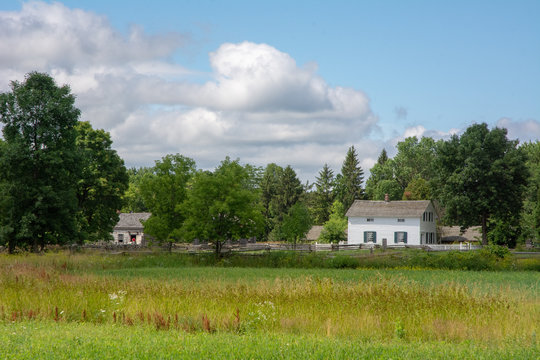 Fields of Peace