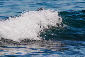 Obraz premium wave on the beach. closeup