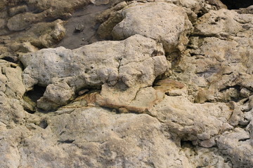 The texture of the cliff.	